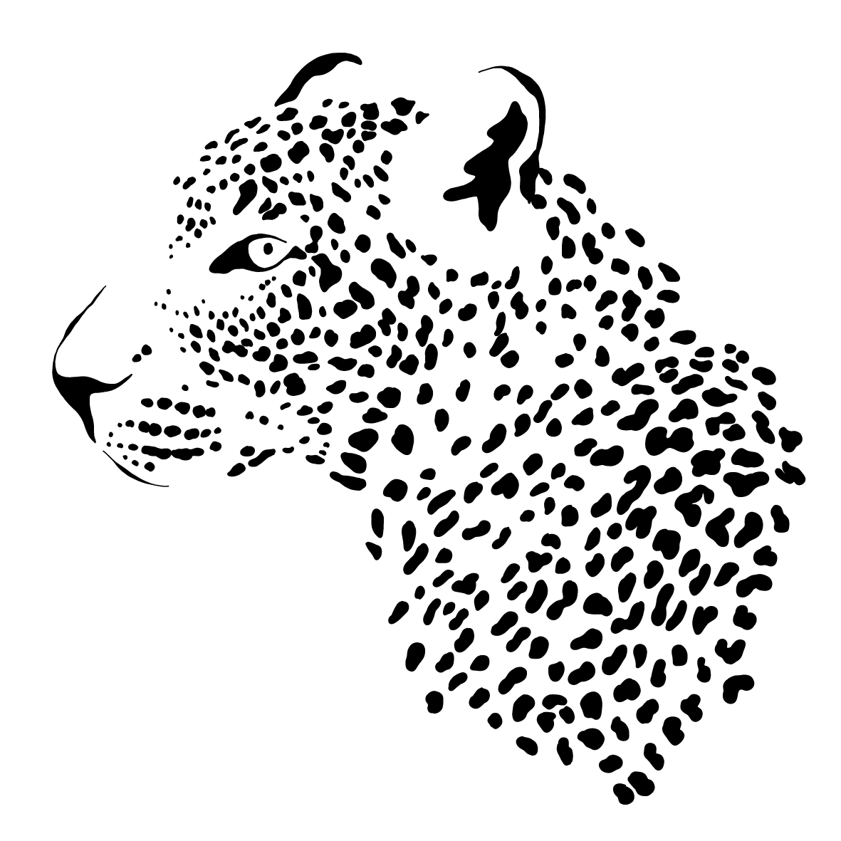 leopard tours kenya