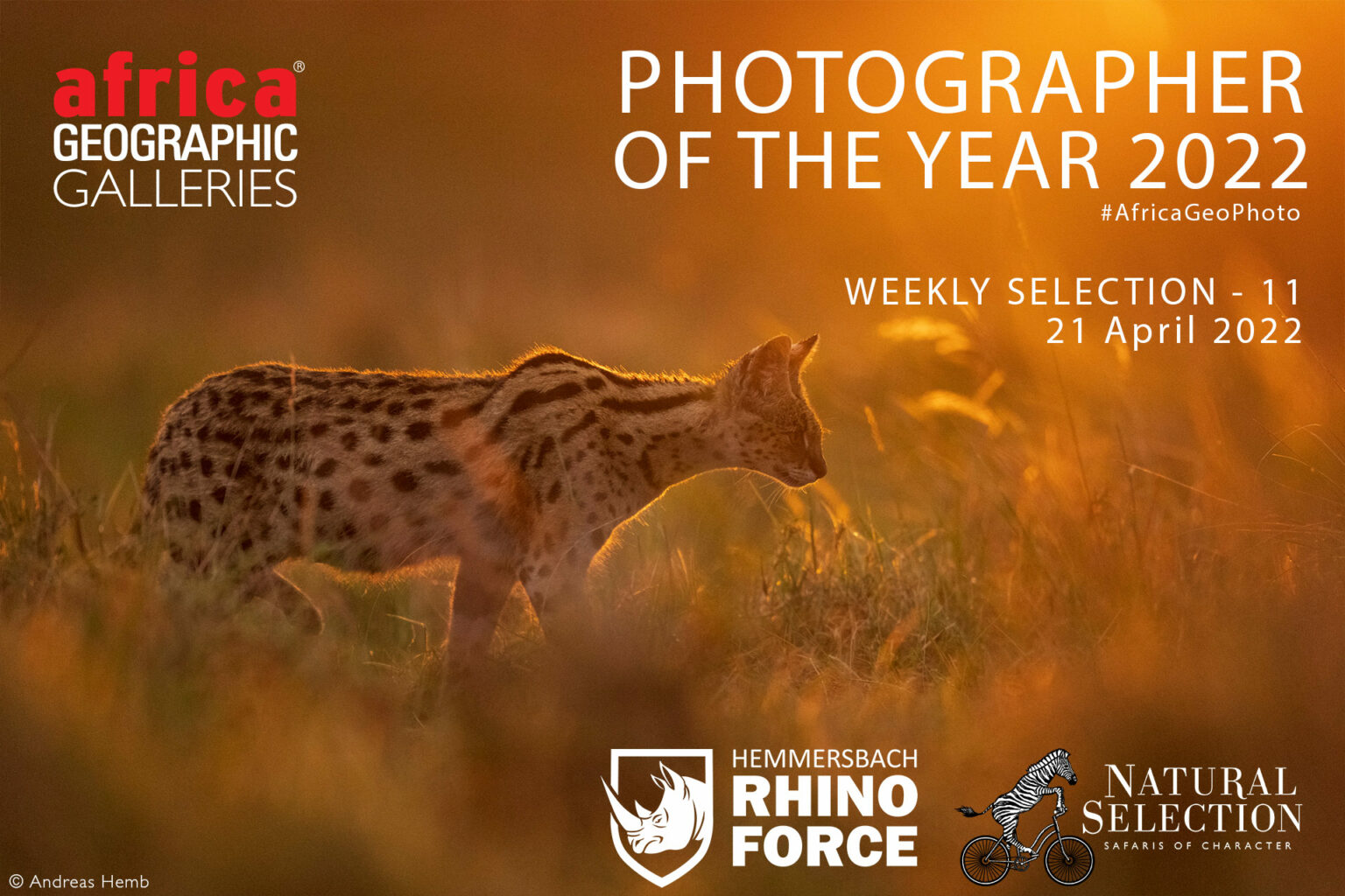 Photographer of the Year 2022 Weekly Selection: Week 11 - Africa Geographic