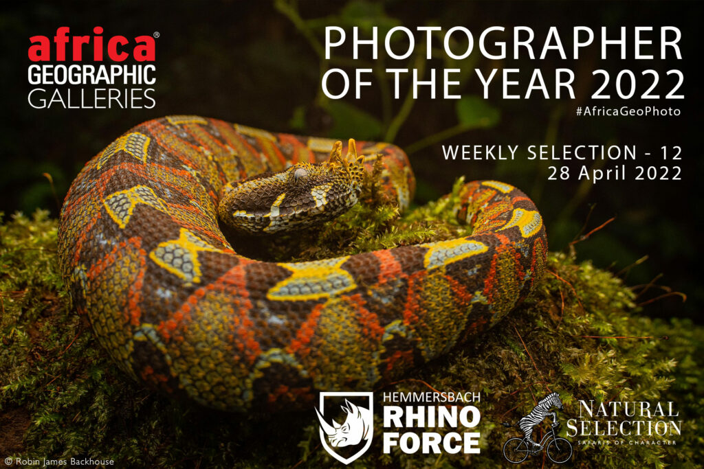 Photographer of the Year 2022 Weekly Selection: Week 12 - Africa Geographic
