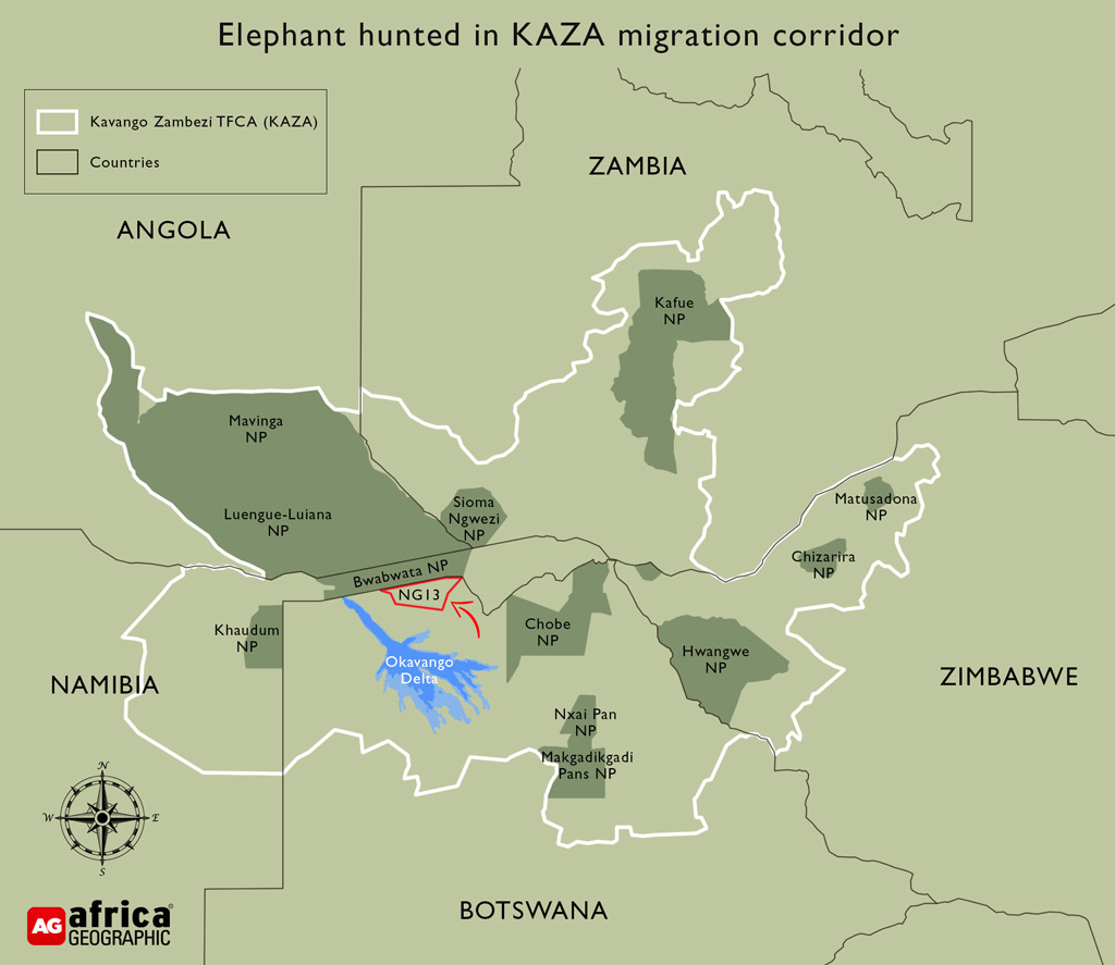 Trophy hunters kill two of Africa’s biggest elephants in Botswana