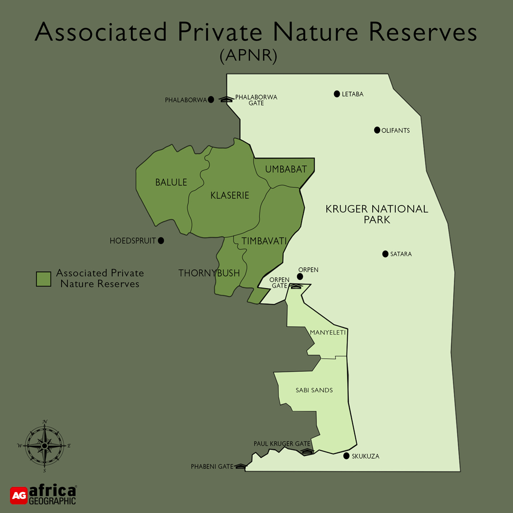 Wildlife populations in Kruger private nature reserves