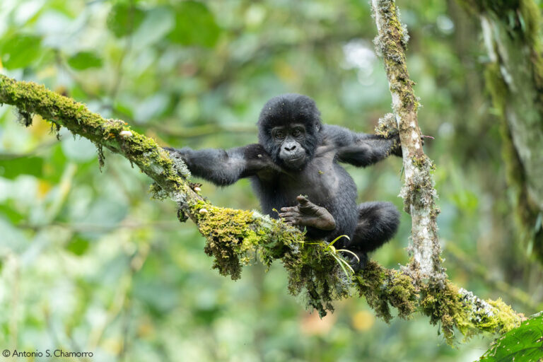 Photographer of the Year 2022 Top 101 - Gallery 2 - Africa Geographic