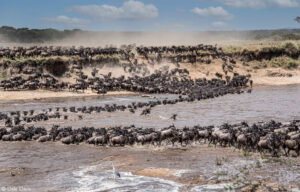 Photographer of the Year 2022 Top 101 - Gallery 1 - Africa Geographic