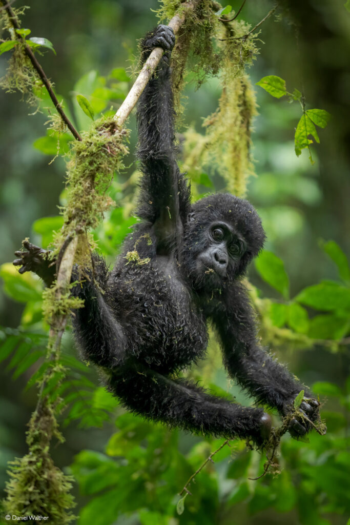 Photographer of the Year 2022 Top 101 - Gallery 3 - Africa Geographic