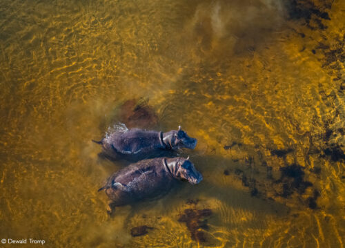 Photographer of the Year 2022 Top 101 - Gallery 1 - Africa Geographic
