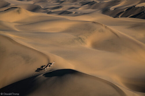 Photographer of the Year 2022 Top 101 - Gallery 4 - Africa Geographic
