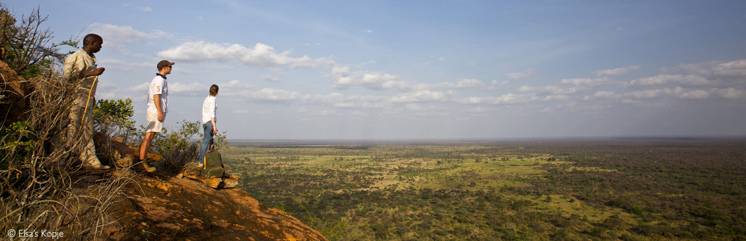 Meru National Park - Africa Geographic