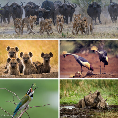 Meru National Park - Africa Geographic