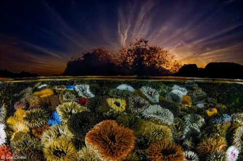 Photographer of the Year 2022 Finalists - Gallery 2 - Africa Geographic