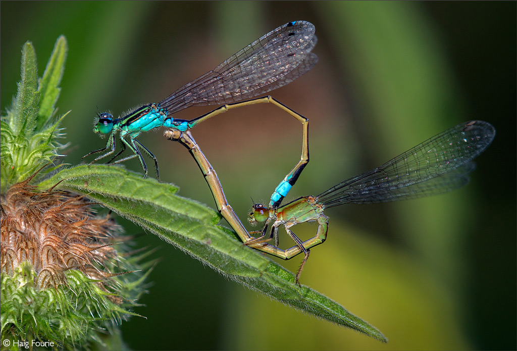 Photographer of the Year 