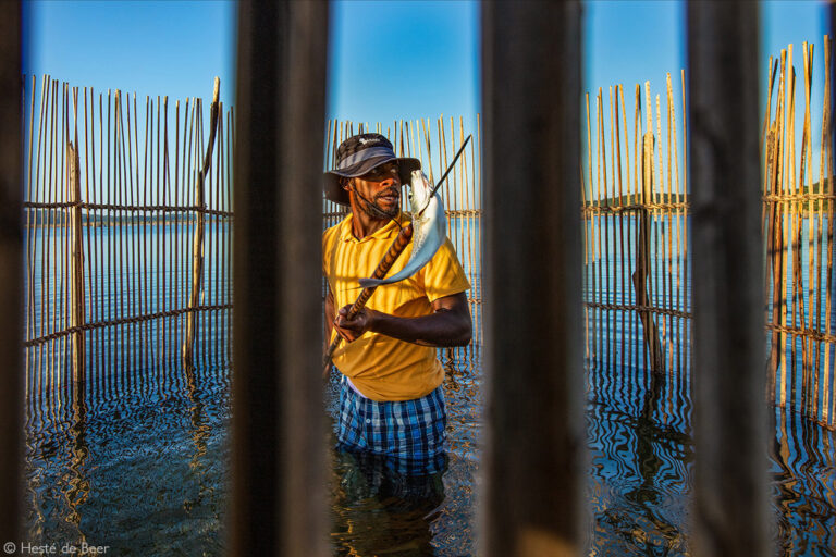 Photographer of the Year 2022 Finalists - Gallery 2 - Africa Geographic