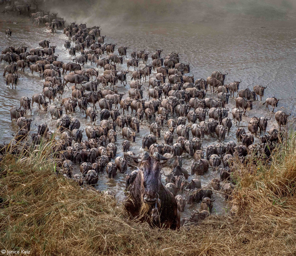 Photographer of the Year 