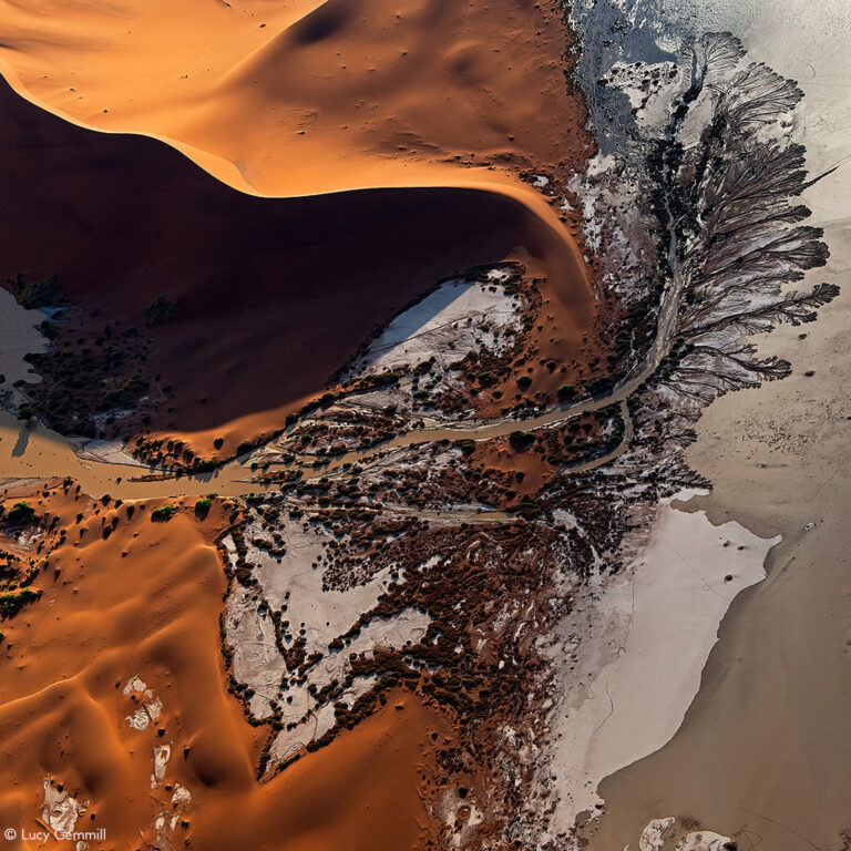 Photographer of the Year 2022 Top 101 - Gallery 2 - Africa Geographic