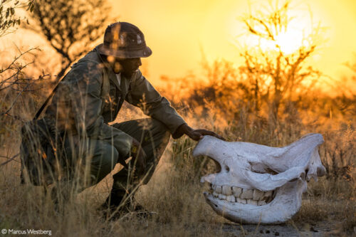 Photographer of the Year 2022 Finalists - Gallery 2 - Africa Geographic