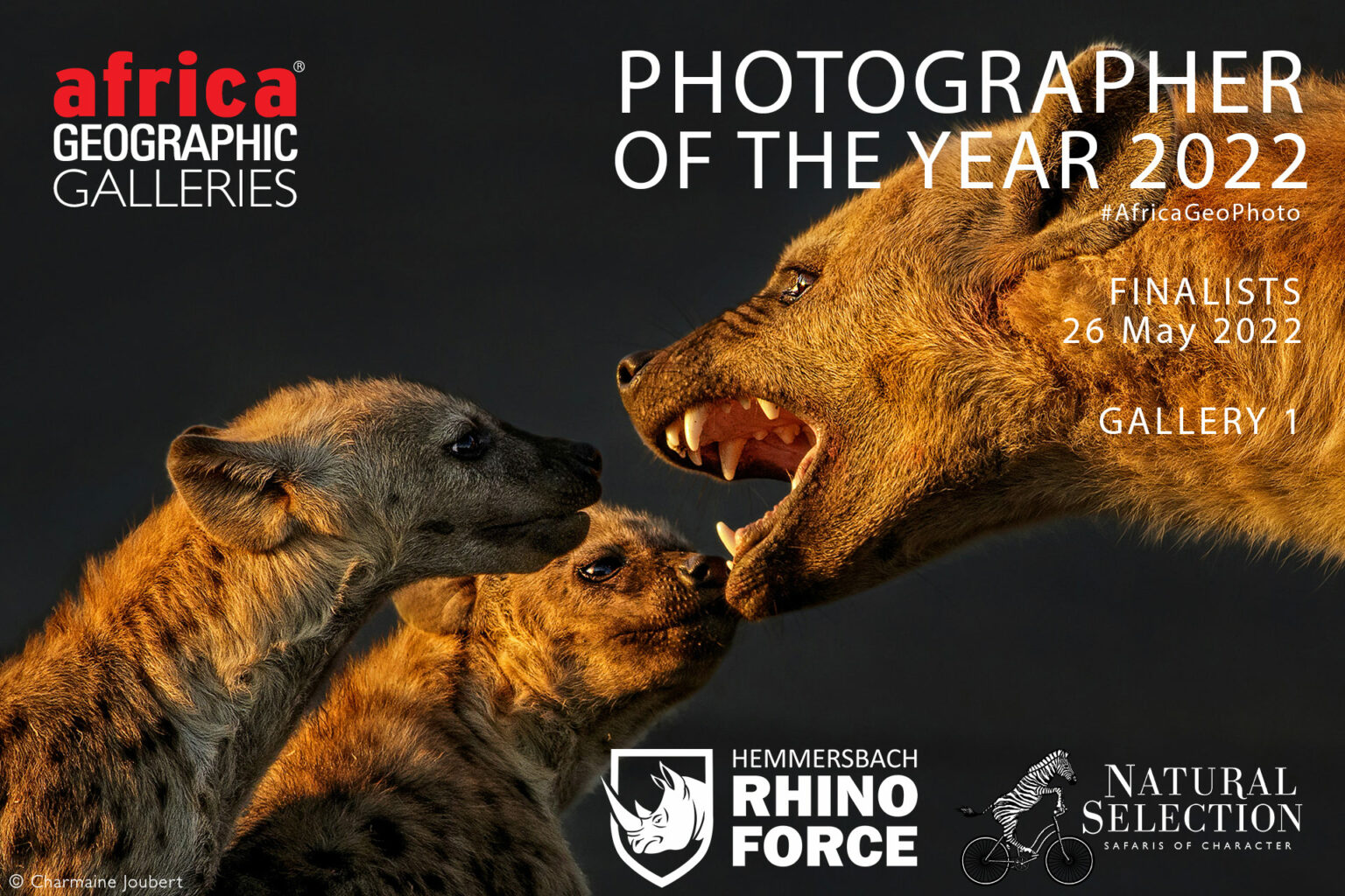 Photographer of the Year 2022 Finalists - Gallery 1 - Africa Geographic