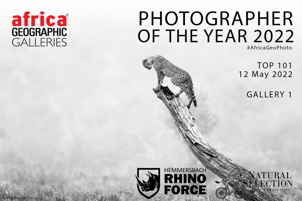 Photographer of the Year 2022 Top 101 - Gallery 1 - Africa Geographic