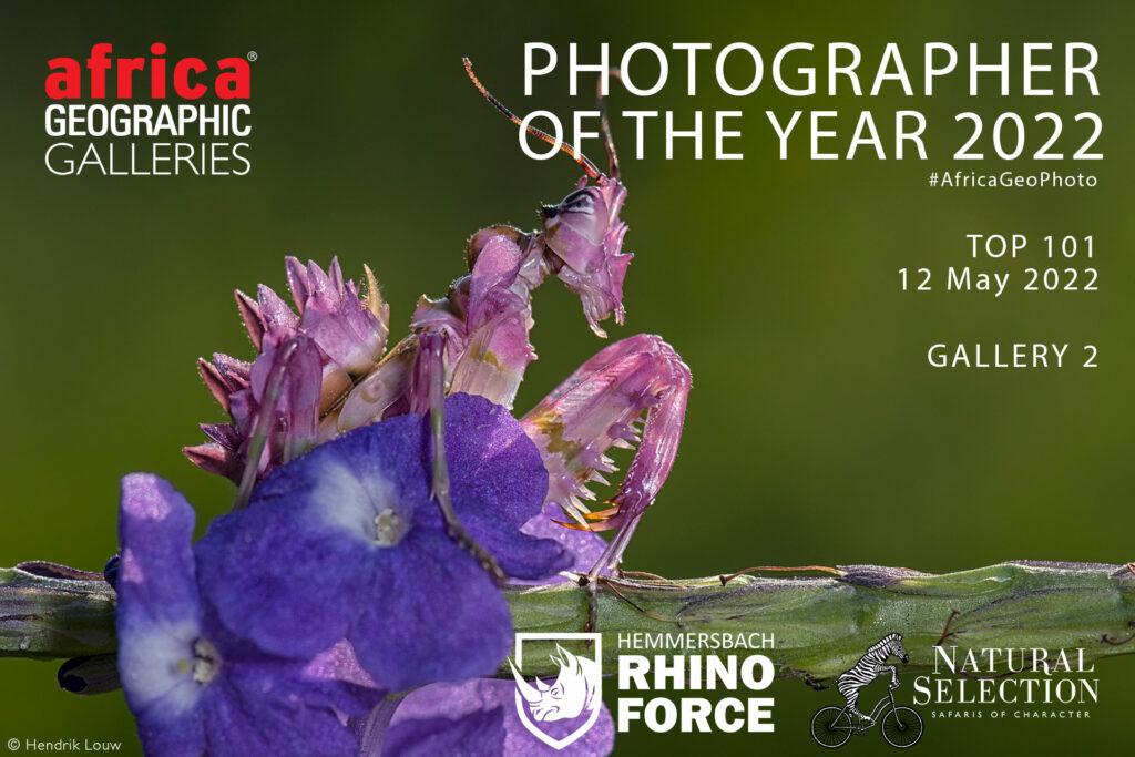 Photographer of the Year 2022 Top 101 - Gallery 2 - Africa Geographic