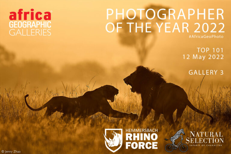 Photographer of the Year 2022 Top 101 - Gallery 3 - Africa Geographic