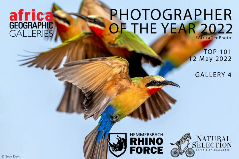 Photographer of the Year 2022 Top 101 - Gallery 4 - Africa Geographic