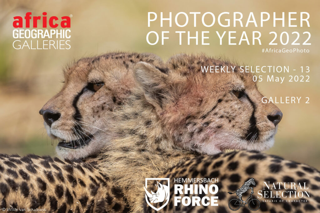 Photographer of the Year 2022 Weekly Selection: Week 13 - Gallery 2 ...