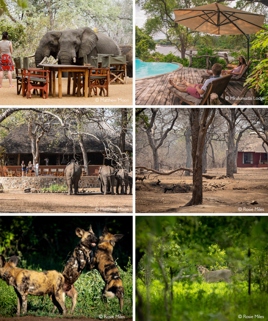 Majete Wildlife Reserve Africa Geographic