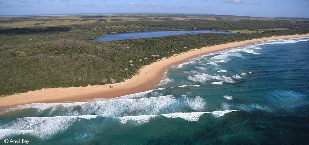 bush and beach