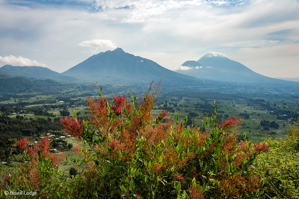Volcanoes National Park