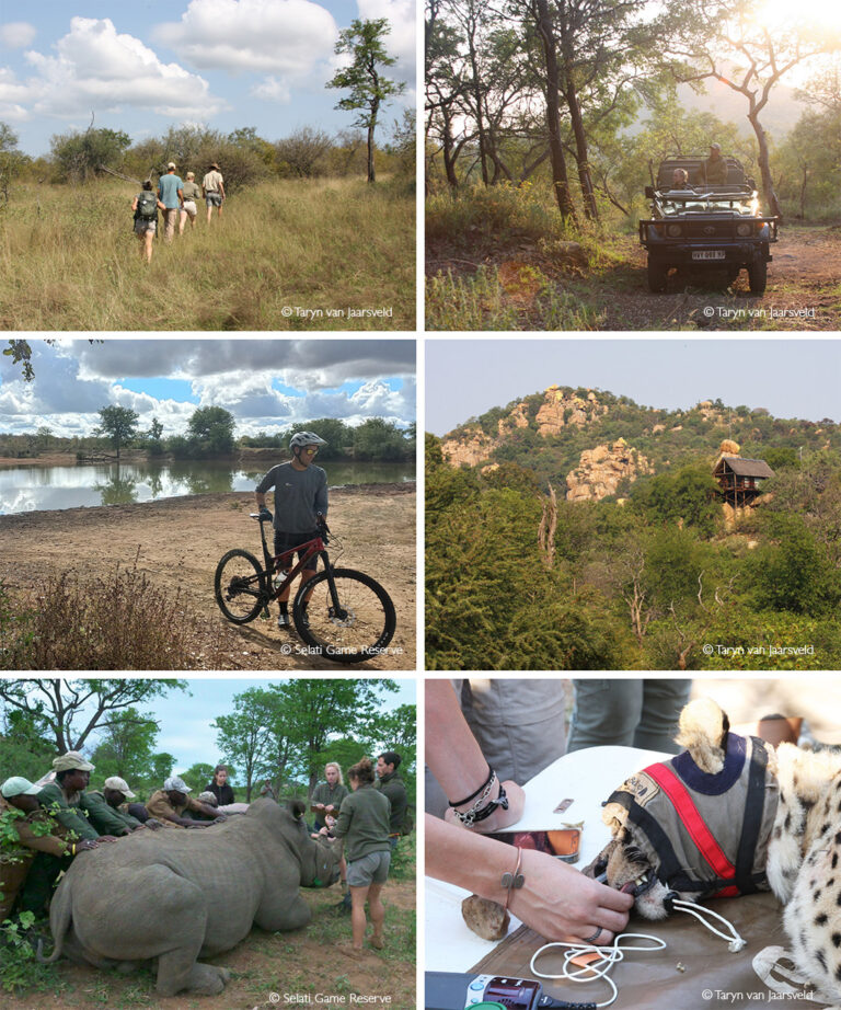 Selati Game Reserve Africa Geographic