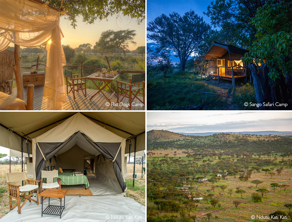 Tented camps