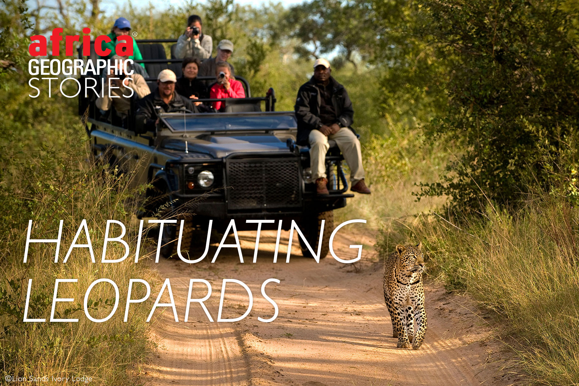 Just a Fight or Something More? Investigating Female Leopard Infanticides