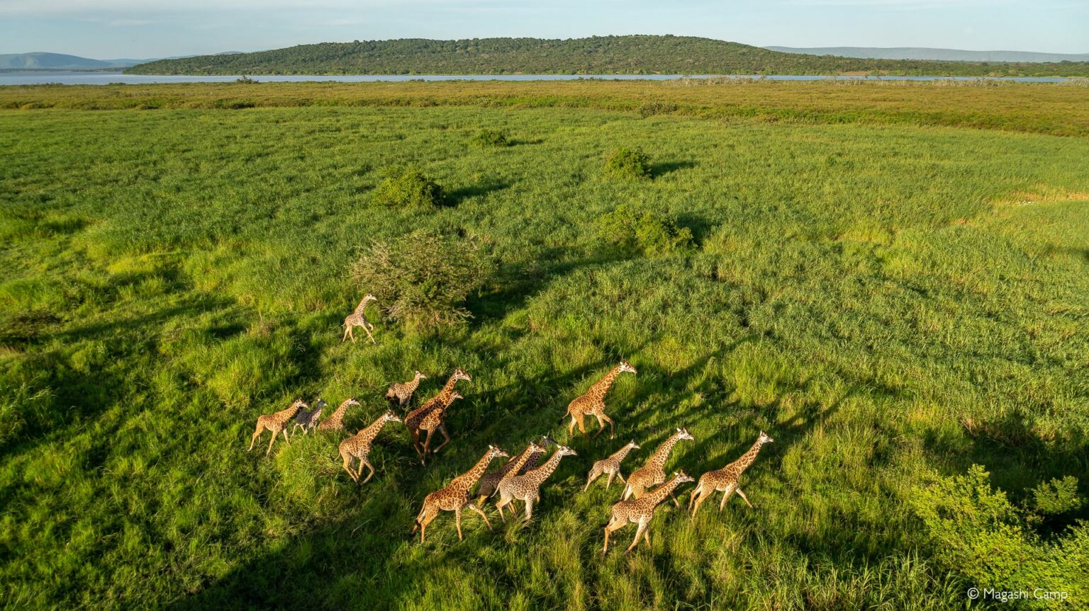 Akagera National Park - Africa Geographic