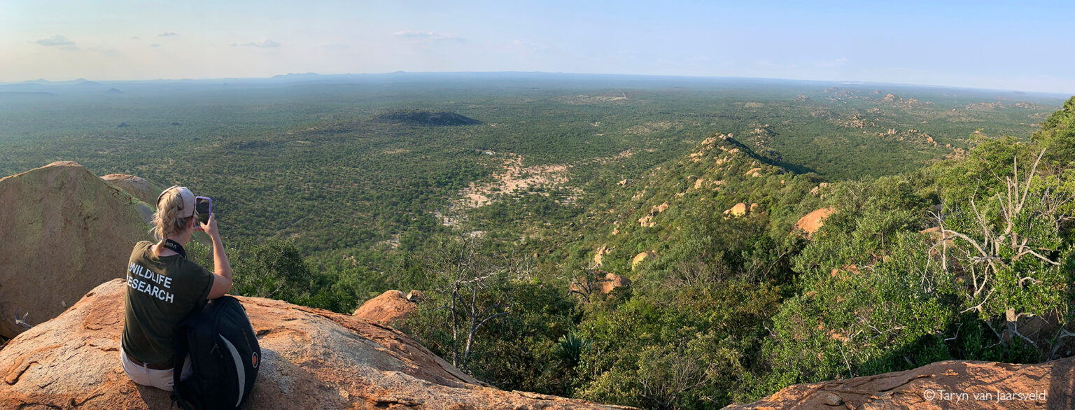 Selati Game Reserve Africa Geographic
