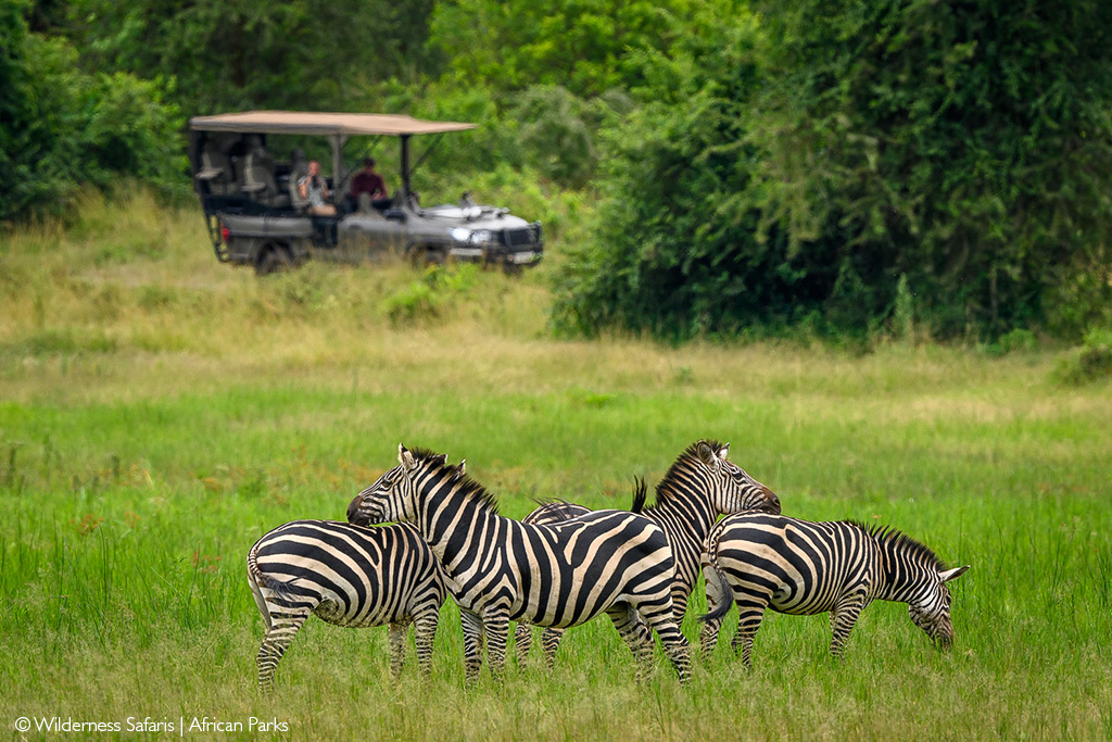 wilderness safaris akagera national park