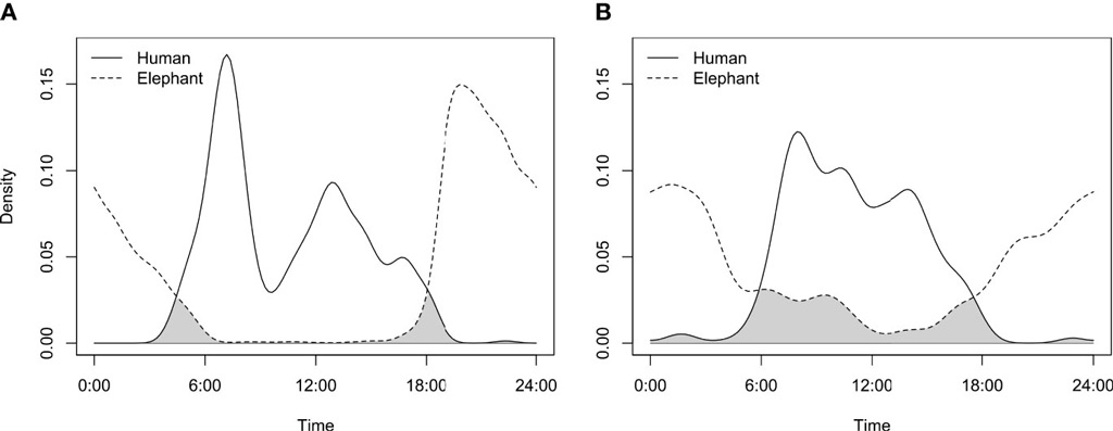 Elephants