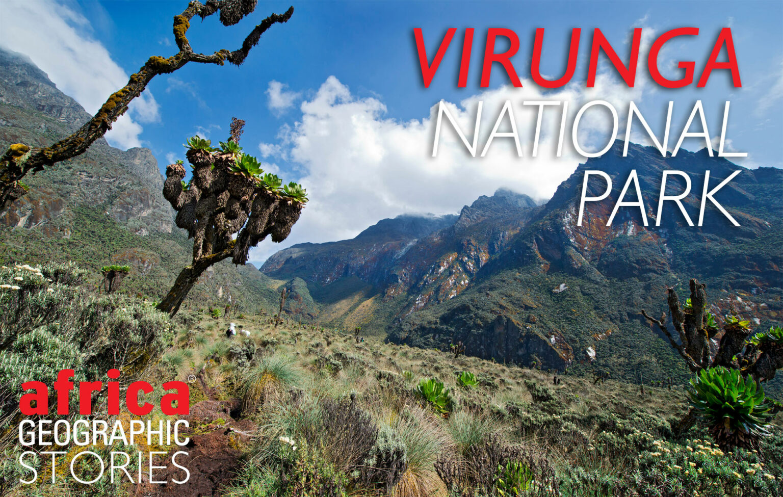 Virunga National Park Africa Geographic   Cover Rwenzori 1536x975 