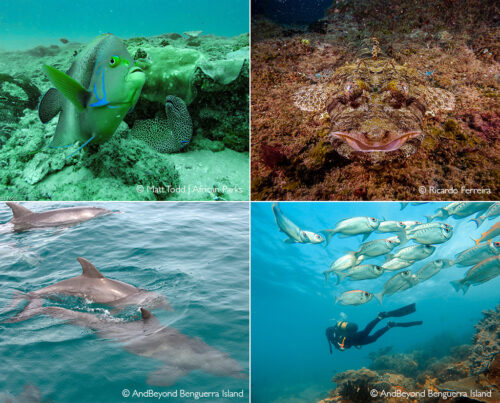 Bazaruto Archipelago National Park - Africa Geographic