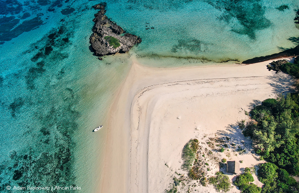 marine safari mozambique