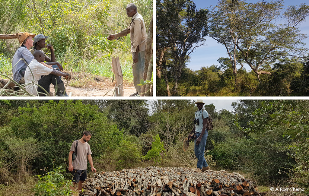 Dakatcha Forest