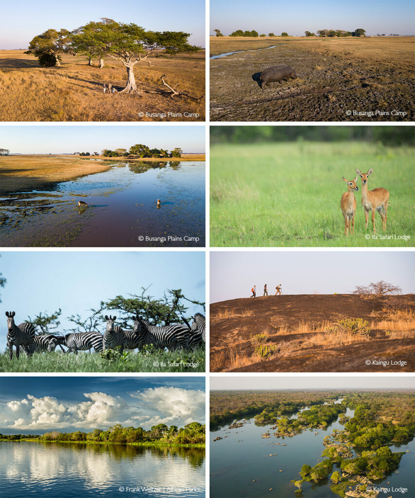 Kafue National Park - Africa Geographic