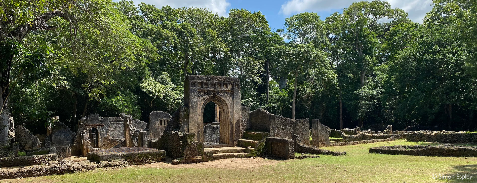 Gedi Ruins