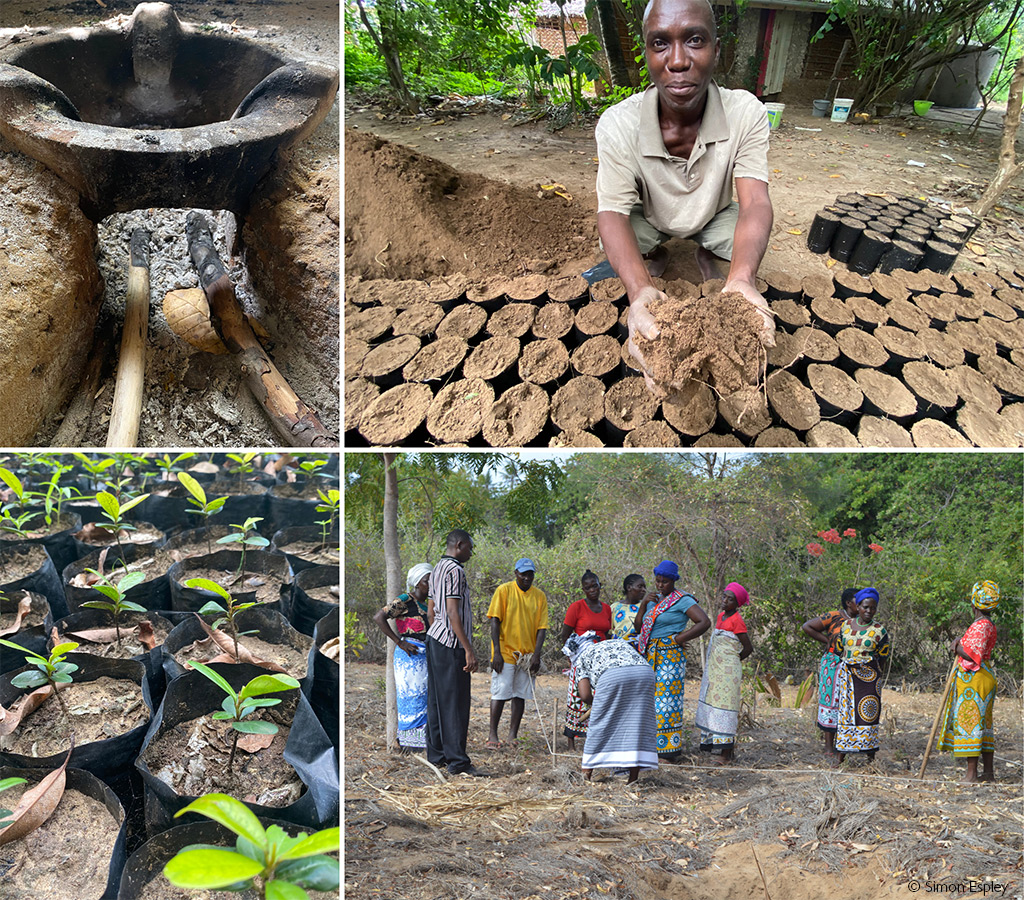 A Rocha tree nursery