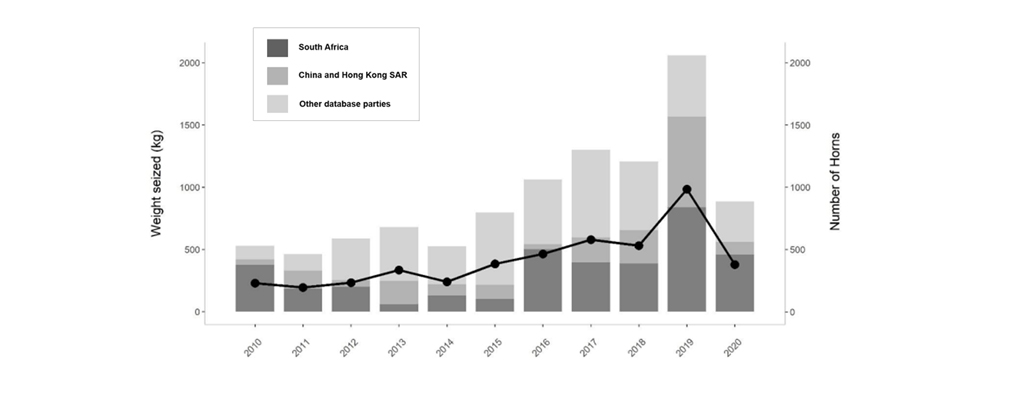 rhino horn seizure