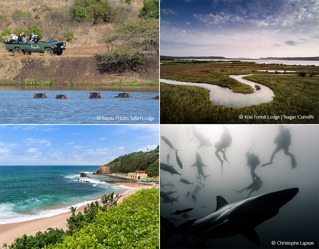 bushveld and beach