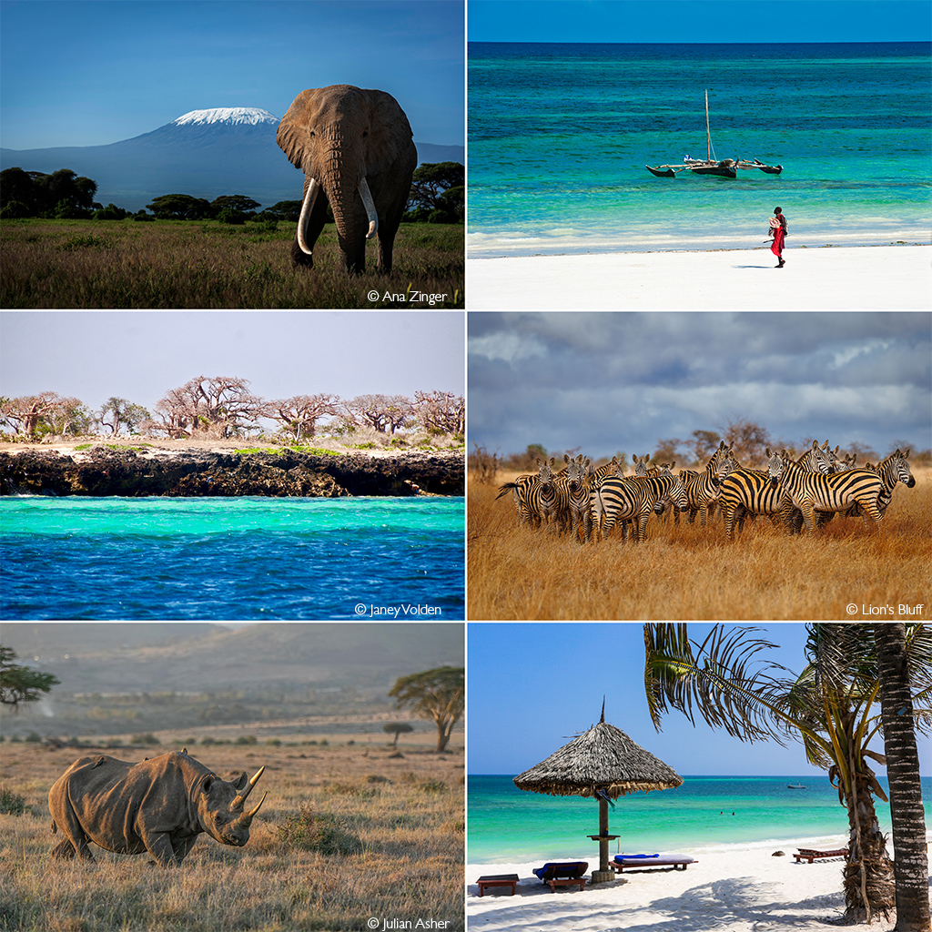 Page 3 – Africa Geographic