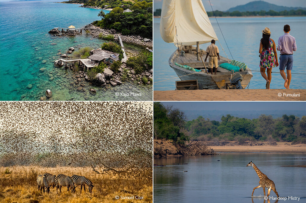 bushveld and beach