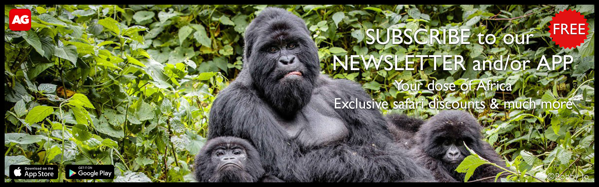 The Garden Route South Africa’s ultimate road trip Africa Geographic