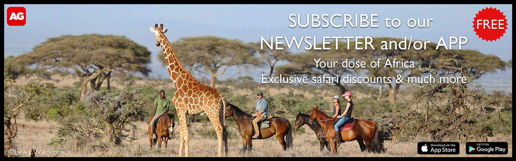 Subscribe to our newsletter and/or app