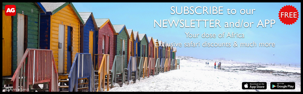 Subscribe to our newsletter and/or app