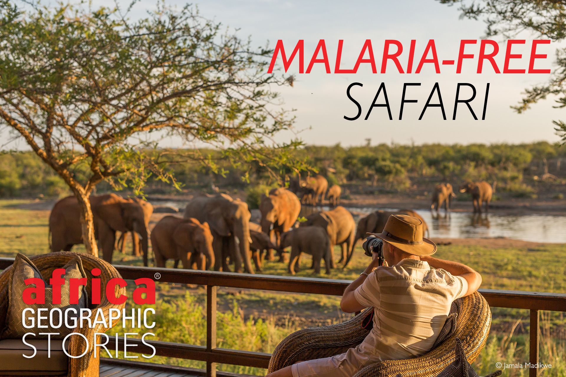 malaria free safari in africa