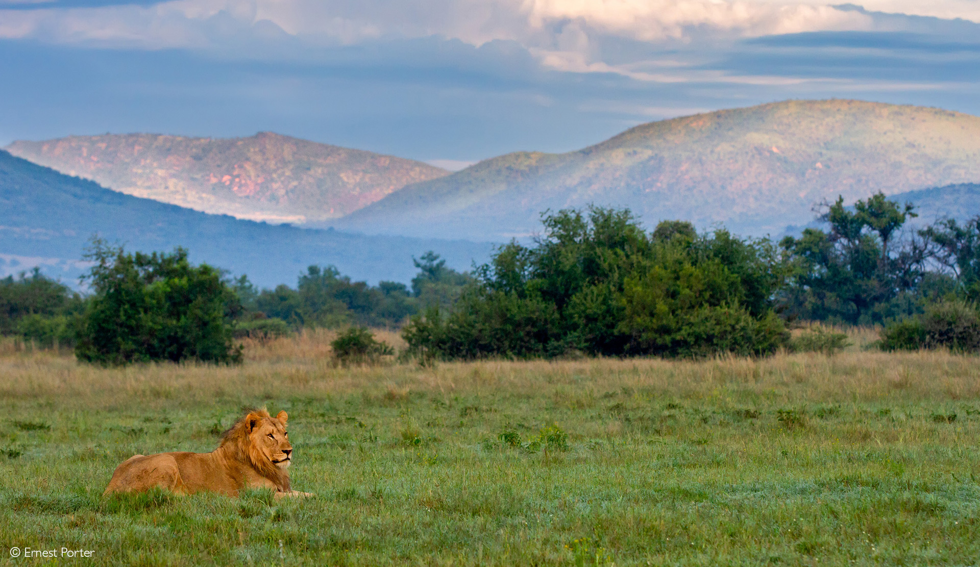 malaria free safari in africa